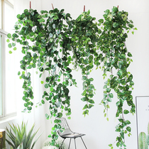 Simulation Ivy fake flower rattan decorative shade hanging wall green plant hanging plant hanging orchid Vine green leaf hanging