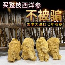 Canada imported American Ginseng Whole grain head Extra large whole Bulk American Ginseng slices 500g American Ginseng