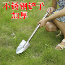 Shovel Gardening Garden Tools Stainless Steel Small Shovel Small Shovel Iron Shovel Outdoor Species Flowers Shovel Home Agricultural Dig