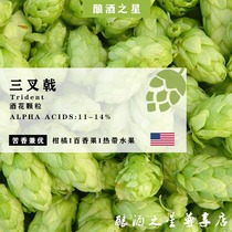 Trident hops Trident bitter and excellent tropical fruit flavor turbid recommended craft raw materials