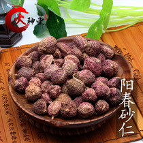 Huoshentang Chinese herbal medicine spring Amomum Yangchun specialty Sand Salen sulfur-free raw sun selection 250 grams