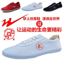 Double Star Wushu Shoes Tai Chi Shoes Training Shoes Sports Shoes Beef Muscle Bottom Canvas Shoes Fitness Morning Training Shoes Dance Shoes