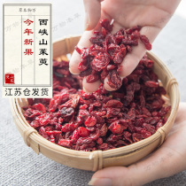 All things materia medica authentic Xixia dogwood coriander Fresh meat thick seedless middle-aged and elderly tonic