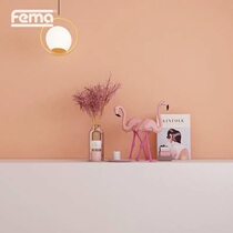 German Fima original imported art paint paint whole house wall custom Moordos series