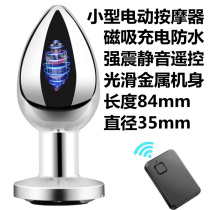 Small eye vibration massage stick charging remote control electric acupoint massager metal massage pen instrument for men and women portable