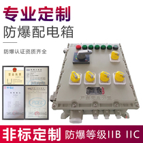 Explosion-proof distribution box power lighting switch cabinet explosion-proof power supply control repair box BXMD-T anti-corrosion and dustproof IIC
