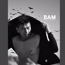 BAM 12 Q