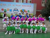 Kindergarten primary and secondary school students La la fuck flower ball cheerleading hand flower color ball La la flower ball square dance hand flower props