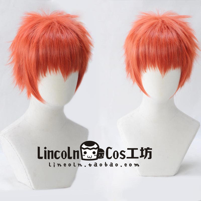 shirou emiya wig