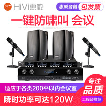 Hivi Huiwei small and medium-sized conference room audio set Conference speaker system equipment full set of wireless microphones