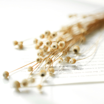 Natural dried flowers beautiful happy flower jewelry cosmetics decoration flower arrangement photo background photography props