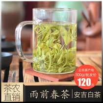  Authentic Anji white tea 2021 new tea before the rain First-class spring tea ration tea Bulk 500g bag Anji specialty