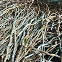 Yandang mountain fresh Dendrobium dendrobium dry strip straight strip imitation tree strip Non-Huoshan maple bucket baked strip Gum residue is less