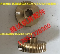 Qiqihar Wafangdian C5225 accessories worm Z41 M2 5 6-50*12 Z36 M3 6-35*10