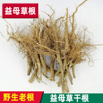 Wild Yimu grass root dried head Chinese herbal medicine discharge lochia conditioning small amount of dysmenorrhea