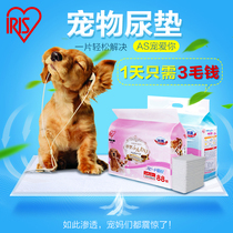 Alice Pet Diary Dog Teddy Dog with Pet Pad Teddy Alice Dog with urine Non-wet Pad