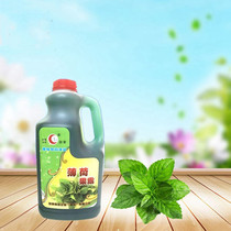 Cana Mint Sherbet peppermint juice fruity beverage thick brewing drink Canadian sherbet 2500g