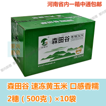 Morita Valley Northeast quick-frozen sticky corn 5kg20 ear box taste sweet waxy new date in Henan Province
