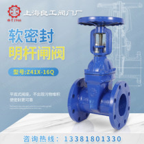Shanghai Lianggong valve Z41X open rod elastic seat seal soft seal flange gate valve Tap water fire pipe