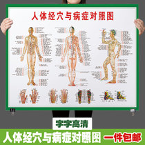 Traditional Chinese medicine health body meridian acupressure map large wall chart Full body HD acupressure massage acupuncture poster