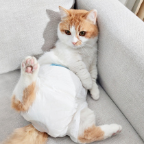 Cat diapers wearing small physiological safety male cat pet health contraceptive prevention mating female cat diapers