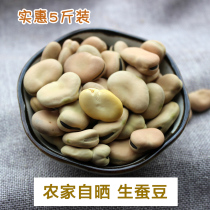 Yunnan dry broad beans can germinate bulk Broad Beans beans small grains raw beans 5kg