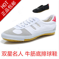 Low-top volleyball shoes Double Star New Body Test shoes non-slip breathable beef tendon mens shoes womens shoes sports shoes work shoes