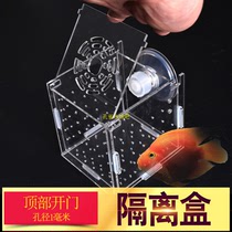 Isolation box fish tank transparent aquarium small fry incubator breeding box production box single and double multi-grid isolation net acrylic