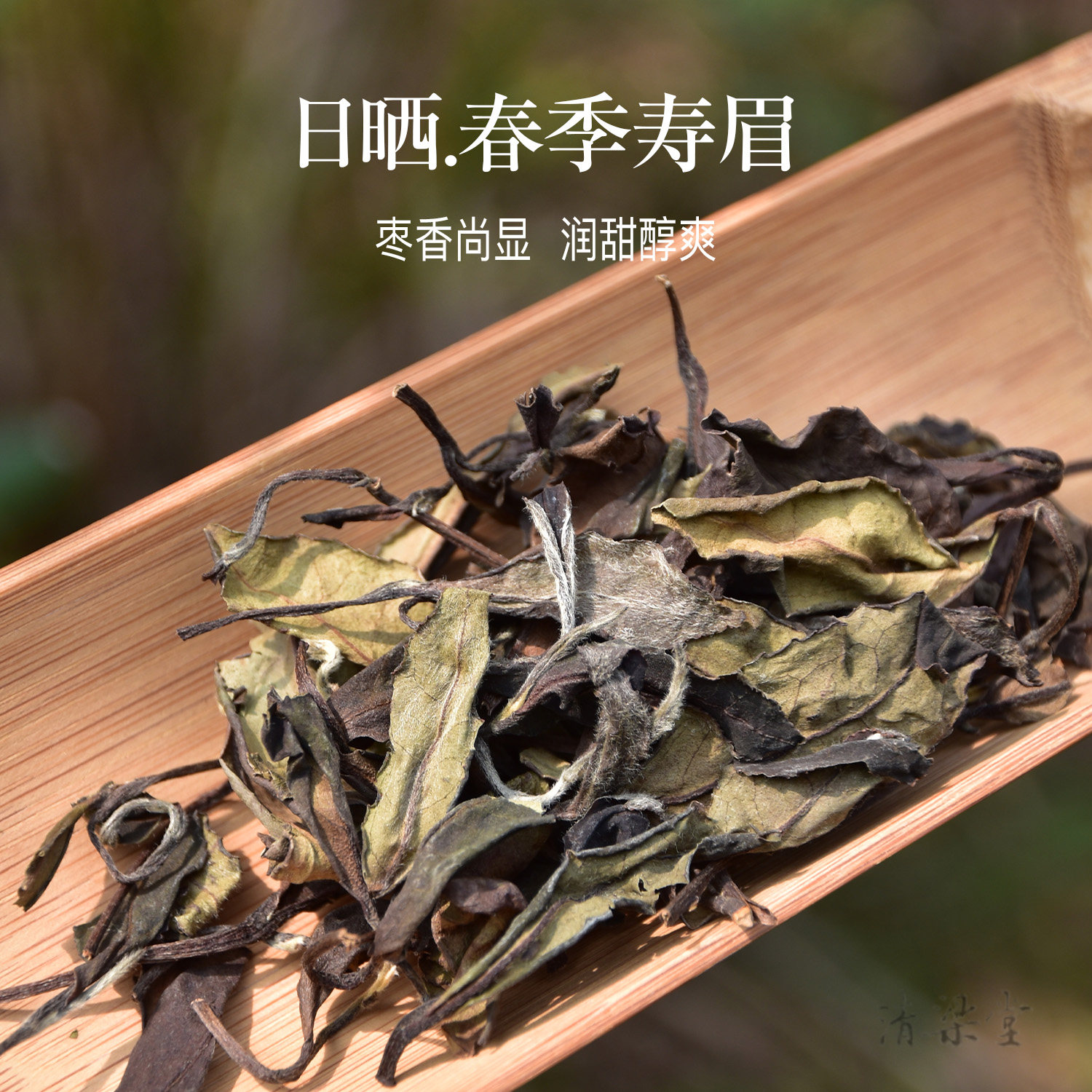 磻溪荒野老树寿眉-磻溪荒野老树寿眉促销价格、磻溪荒野老树寿眉品牌- 淘宝