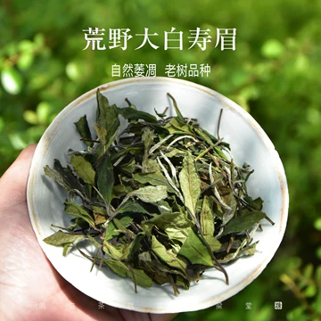 磻溪荒野老树寿眉-磻溪荒野老树寿眉促销价格、磻溪荒野老树寿眉品牌- 淘宝