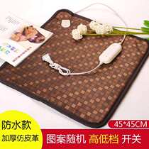 Electric heating cushion heating butt pad pet pad small electric blanket removable office car household electric heating pad