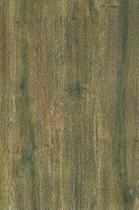 Roman Leo tile C99J32 walnut