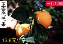 (Spot) Jinhua authentic Earth generation fruit hawk fruit orange generation Orange Orange Orange Orange