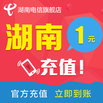 Hunan Telecom phone bill 1 yuan Telecom phone bill recharge Mobile phone bill recharge Charge phone bill Fast arrival