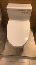 TOTO toilet toilet CW887EGB TC400