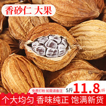 New Yunnan specialty fragrant Amomum fruit 500g gold Amomum villosum stewed broth barbecue seasoning spice marinade powder
