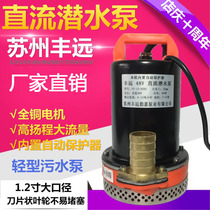 Fengyuan 12v24v36v48v60v72 DC Battery Car Small Sewage Mud Pump Agricultural Irrigation