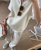 Zhou Wood apit ingot needle thick thin and thin Joker foundation solid color sleeveless knitted vest autumn new female