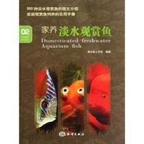 Genuine-domestic freshwater ornamental fish Xinshui Studio