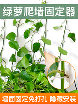 Green plant green rose fixed wall artifact no trace household adhesive hook buckle climbing wall hanging plant climbing vine styling clip