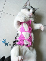Handmade cat bikini pet cross-dressing funny underwear super show rose red photo photography props