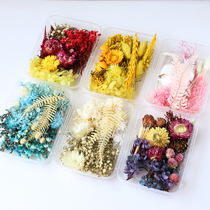 Fu Lei diy plant dried flower material mixed dried flower material package handmade aromatherapy wax card photo frame decoration point
