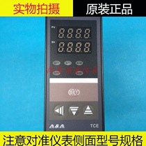 A-A Zhuo Li brand TCE-6181P 6131P intelligent temperature controller AAA brand