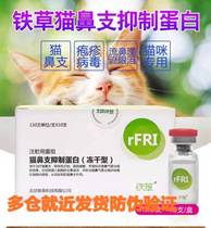 Cat nasal branch inhibitory protein cat interferon cat sneezing tear virus whole box ten nasal branch inhibitory protein