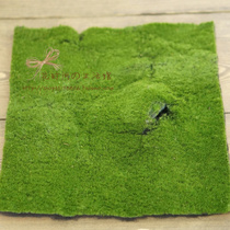 Simulated Moss turf succulent plant wall diy material
