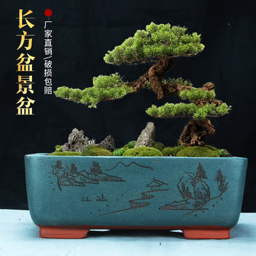 竜盆 長方形盆 紫砂盆 中国「紫砂盆器」最高峰『宝山窯』との挑戦 : 雨