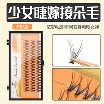 Rice straw man Teenage Eyelash Upgrade Fish Tail Single Cluster Sectional Ultra Natural Emulation False Eyelash Woman Self Graft