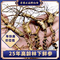 Old mountain ginseng Extra large wine-soaked whole ginseng Under the forest ginseng 25 old white Mountain Wild mountain ginseng people move mountain ginseng first class
