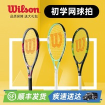Wilson Wilson Wilson tennis racket Wilson male law Net single shock absorption tennis training set