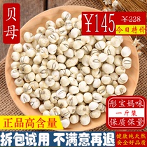 Sichuan Fritillaria 500g wild special grade Sichuan Fritillaria cough Chinese herbal medicine Small Fritillary non-Tongrentang